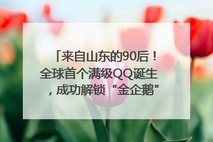 来自山东的90后！全球首个满级QQ诞生，成功解锁“金企鹅”，是继承父亲账号