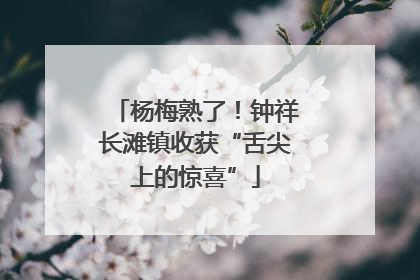 杨梅熟了！钟祥长滩镇收获“舌尖上的惊喜”