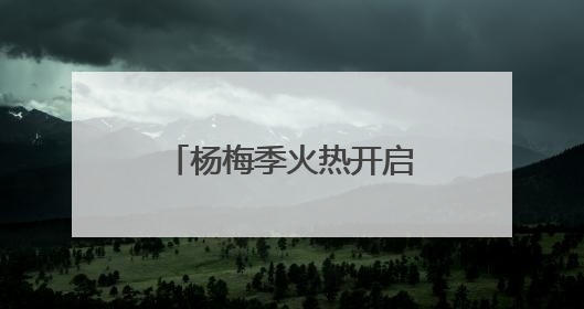 杨梅季火热开启！杭州地利果品市场守护从枝头到舌尖的每一口鲜甜