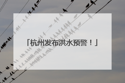 杭州发布洪水预警！