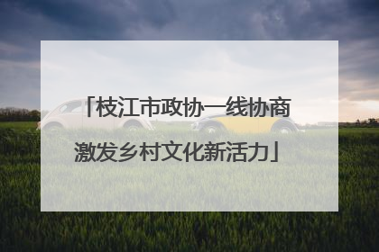 枝江市政协一线协商激发乡村文化新活力