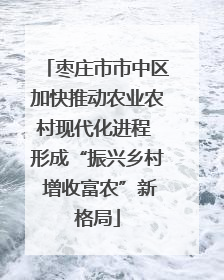 枣庄市市中区加快推动农业农村现代化进程 形成“振兴乡村 增收富农”新格局