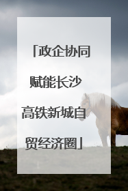 政企协同 赋能长沙高铁新城自贸经济圈