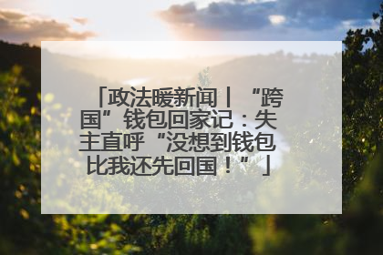 政法暖新闻丨“跨国”钱包回家记：失主直呼“没想到钱包比我还先回国！”