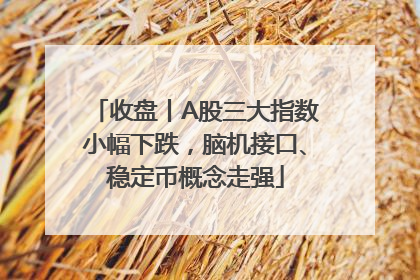 收盘丨A股三大指数小幅下跌，脑机接口、稳定币概念走强