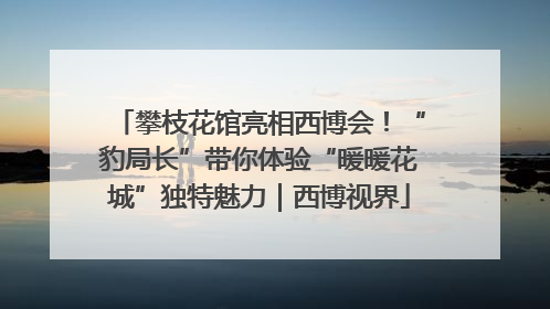 攀枝花馆亮相西博会！“豹局长”带你体验“暖暖花城”独特魅力｜西博视界