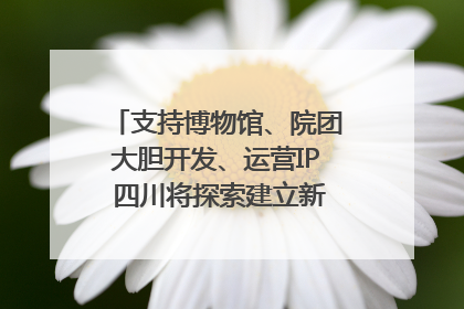 支持博物馆、院团大胆开发、运营IP 四川将探索建立新的收入分配激励机制｜新闻发布最前线