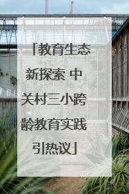 教育生态新探索 中关村三小跨龄教育实践引热议