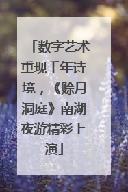 数字艺术重现千年诗境，《赊月洞庭》南湖夜游精彩上演