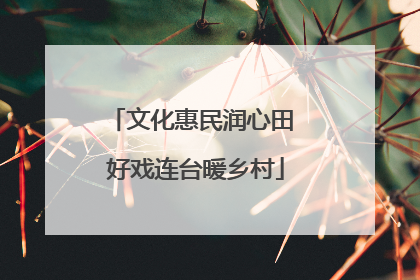 文化惠民润心田 好戏连台暖乡村