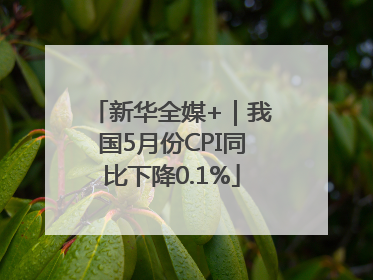 新华全媒+｜我国5月份CPI同比下降0.1%