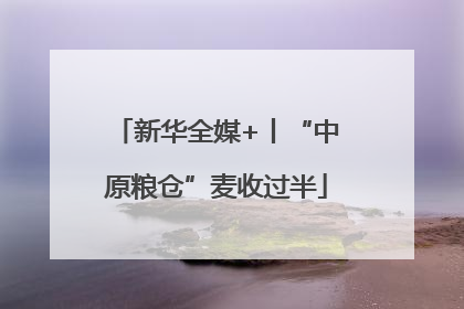 新华全媒+丨“中原粮仓”麦收过半