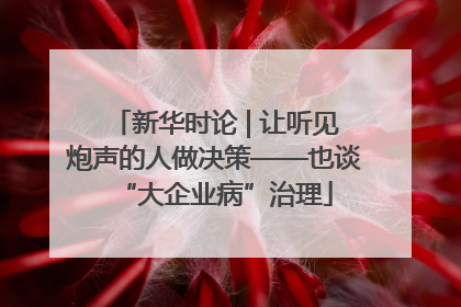 新华时论 | 让听见炮声的人做决策——也谈“大企业病”治理