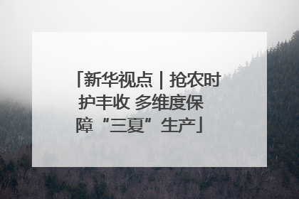 新华视点｜抢农时 护丰收 多维度保障“三夏”生产