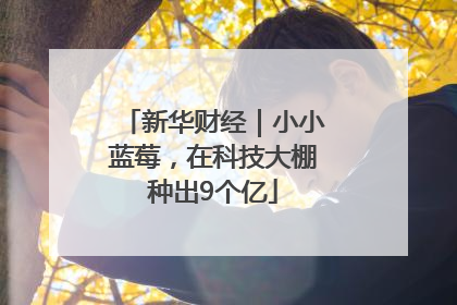 新华财经｜小小蓝莓，在科技大棚种出9个亿