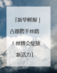 新华鲜报｜古都携手丝路！丝博会绽放新活力