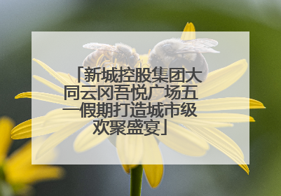 新城控股集团大同云冈吾悦广场五一假期打造城市级欢聚盛宴
