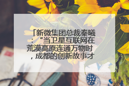 新微集团总裁秦曦：“当卫星互联网在荒漠高原连通万物时，成都的创新故事才真正开始”