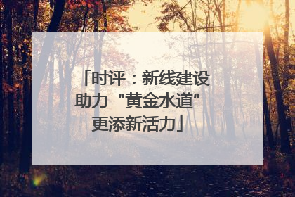 时评：新线建设助力“黄金水道”更添新活力