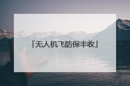 无人机飞防保丰收