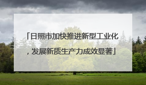 日照市加快推进新型工业化，发展新质生产力成效显著