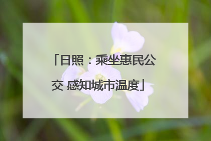 日照：乘坐惠民公交 感知城市温度