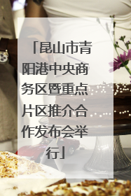昆山市青阳港中央商务区暨重点片区推介合作发布会举行