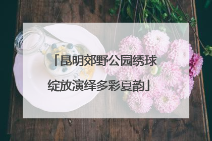昆明郊野公园绣球绽放演绎多彩夏韵