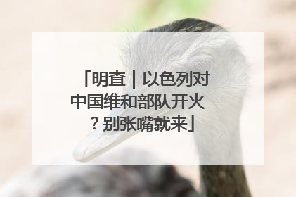 明查｜以色列对中国维和部队开火？别张嘴就来