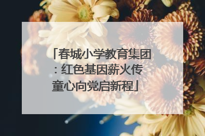 春城小学教育集团：红色基因薪火传 童心向党启新程
