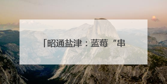 昭通盐津：蓝莓“串”起乡村振兴增收链