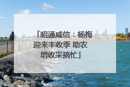 昭通威信：杨梅迎来丰收季 助农增收采摘忙