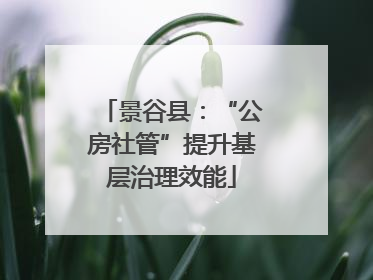 景谷县：“公房社管”提升基层治理效能