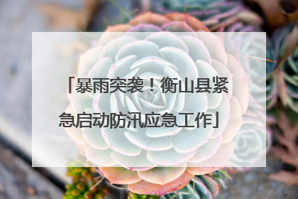 暴雨突袭！衡山县紧急启动防汛应急工作