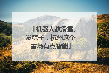 机器人教滑雪、发粽子，杭州这个雪场有点智能