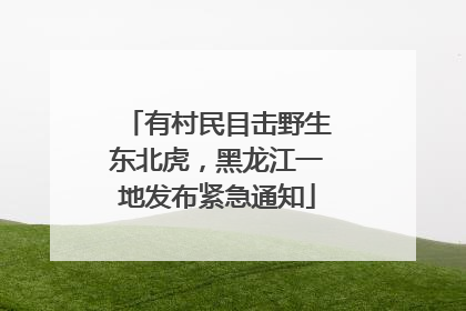 有村民目击野生东北虎，黑龙江一地发布紧急通知