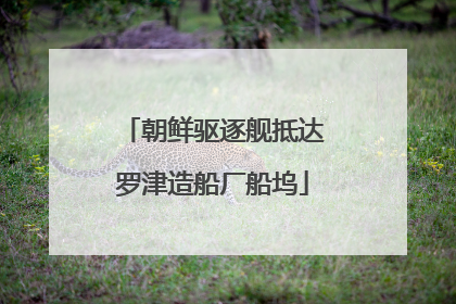 朝鲜驱逐舰抵达罗津造船厂船坞