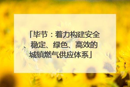 毕节：着力构建安全、稳定、绿色、高效的城镇燃气供应体系