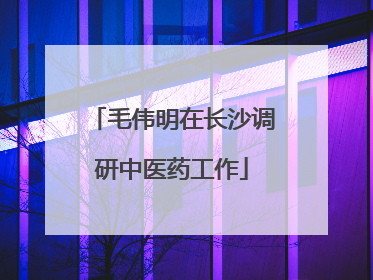 毛伟明在长沙调研中医药工作