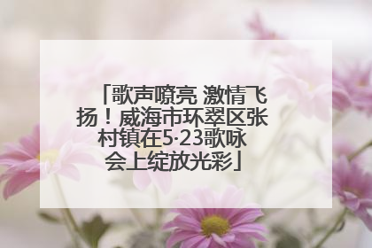 歌声嘹亮 激情飞扬！威海市环翠区张村镇在5·23歌咏会上绽放光彩