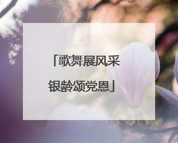 歌舞展风采 银龄颂党恩