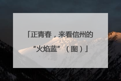 正青春，来看信州的“火焰蓝”（图）