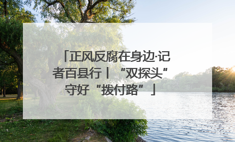 正风反腐在身边·记者百县行丨“双探头”守好“拨付路”