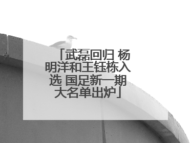 武磊回归 杨明洋和王钰栋入选 国足新一期大名单出炉