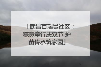 武昌百瑞景社区：粽意童行庆双节 护苗传承筑家园