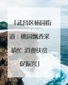 武昌区杨园街道：桃园飘香采摘忙 消费扶贫促振兴