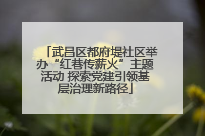 武昌区都府堤社区举办“红巷传薪火”主题活动 探索党建引领基层治理新路径