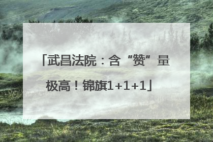 武昌法院：含“赞”量极高！锦旗1+1+1