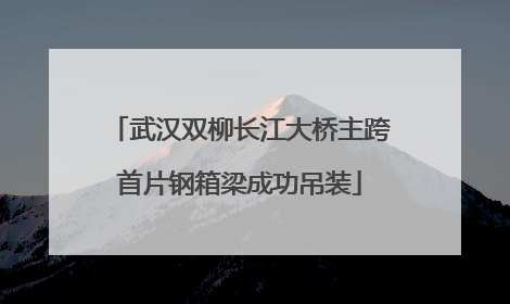武汉双柳长江大桥主跨首片钢箱梁成功吊装