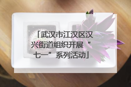 武汉市江汉区汉兴街道组织开展“七一”系列活动